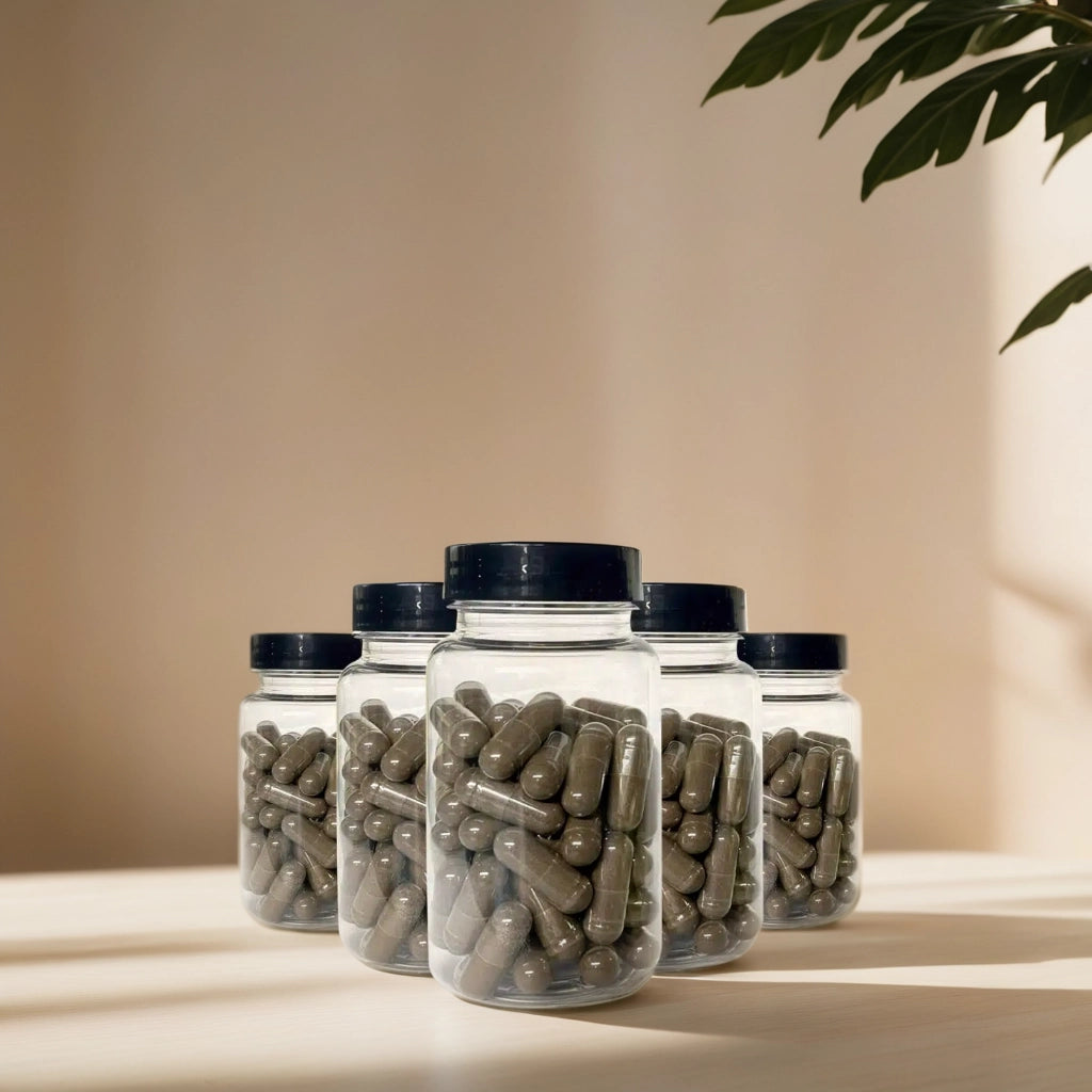 Gélules de Shilajit Moulue - Pureté de l'Himalaya - Sources Naturelles